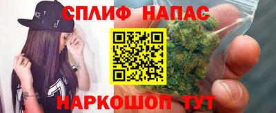 сатива Кумертау